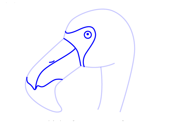 /uploads/image/2021/05/03/How to Draw a Flamingo Face for Kids3.png